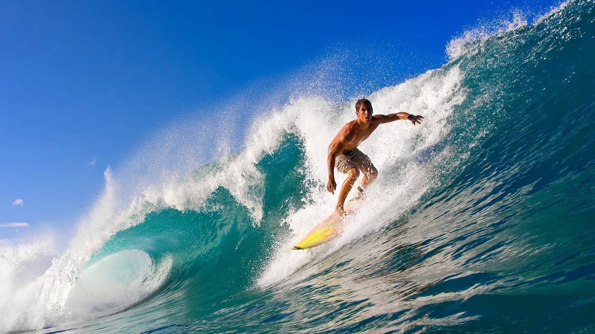 初心不改：老将的坚持与传承故事